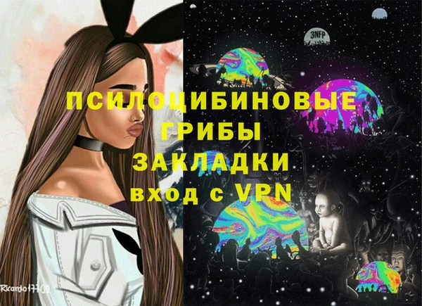 герыч Алексин
