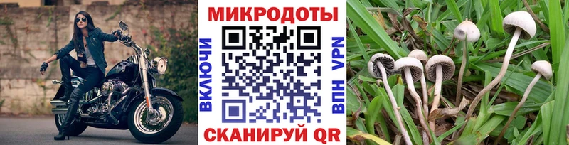 Псилоцибиновые грибы MAGIC MUSHROOMS Купить где Сарапул
